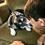IMG_1379.JPEG