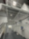 IMG_7790.jpeg