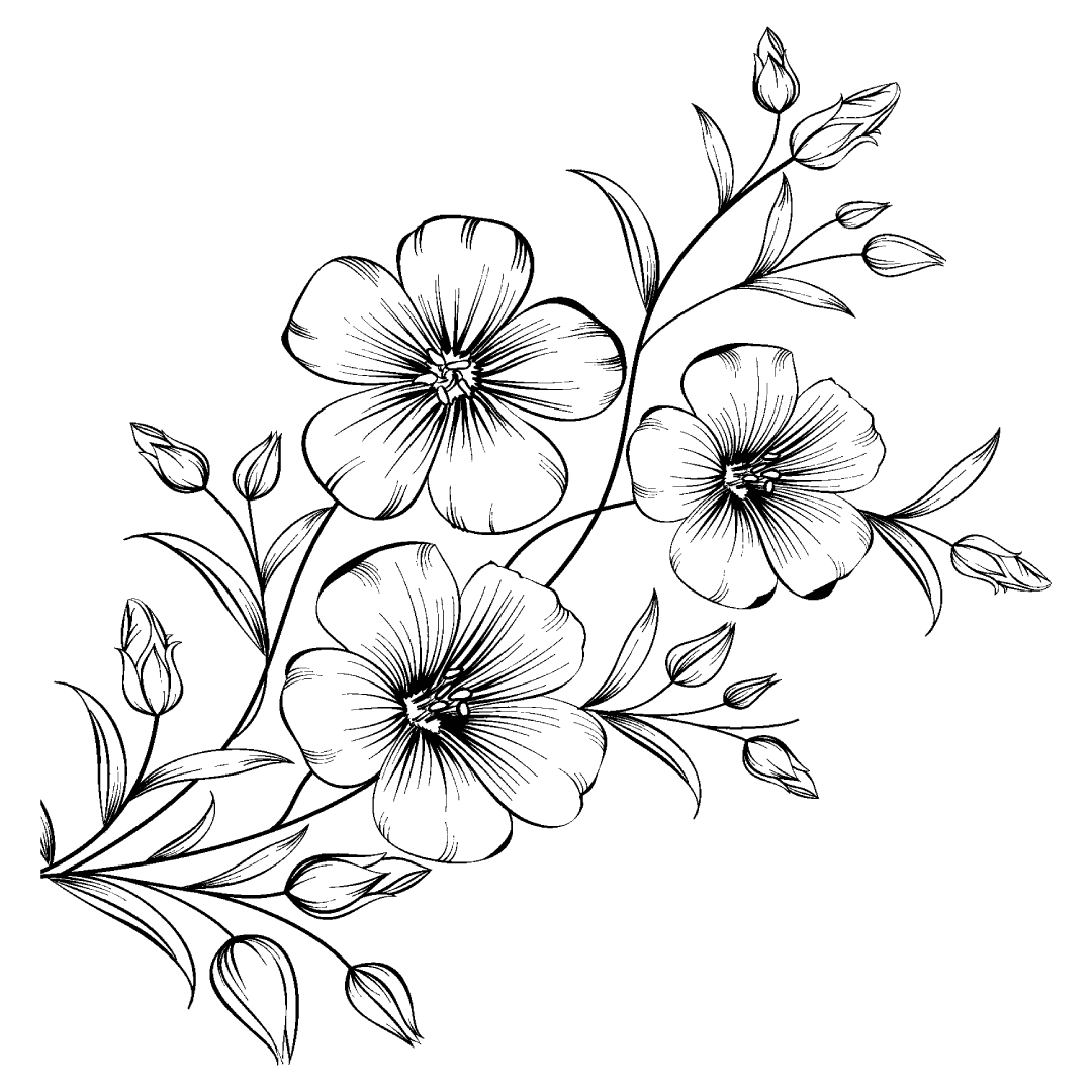 RAY plant 1 blk.webp