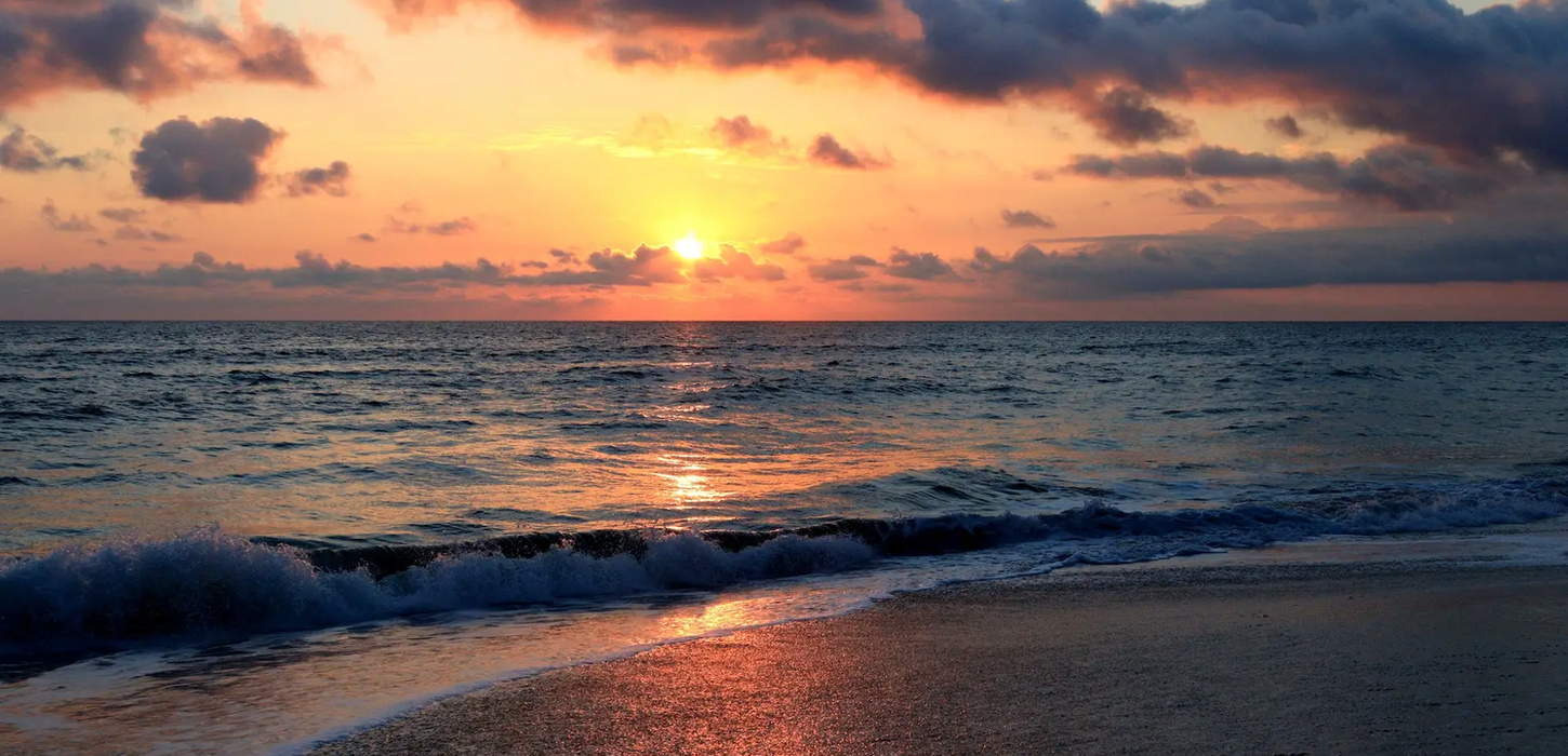 RAYDINACE WELLNESS BLOG HERO 1920 x 1080.webp