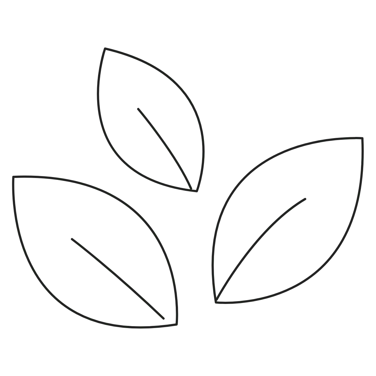v968-40 (1).webp