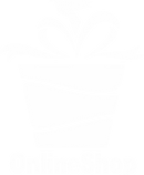 Online SHop White.png