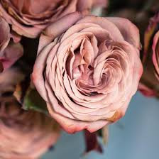Turkish Fragrant Roses Turkish Rose Fragrant Oil | smellbound