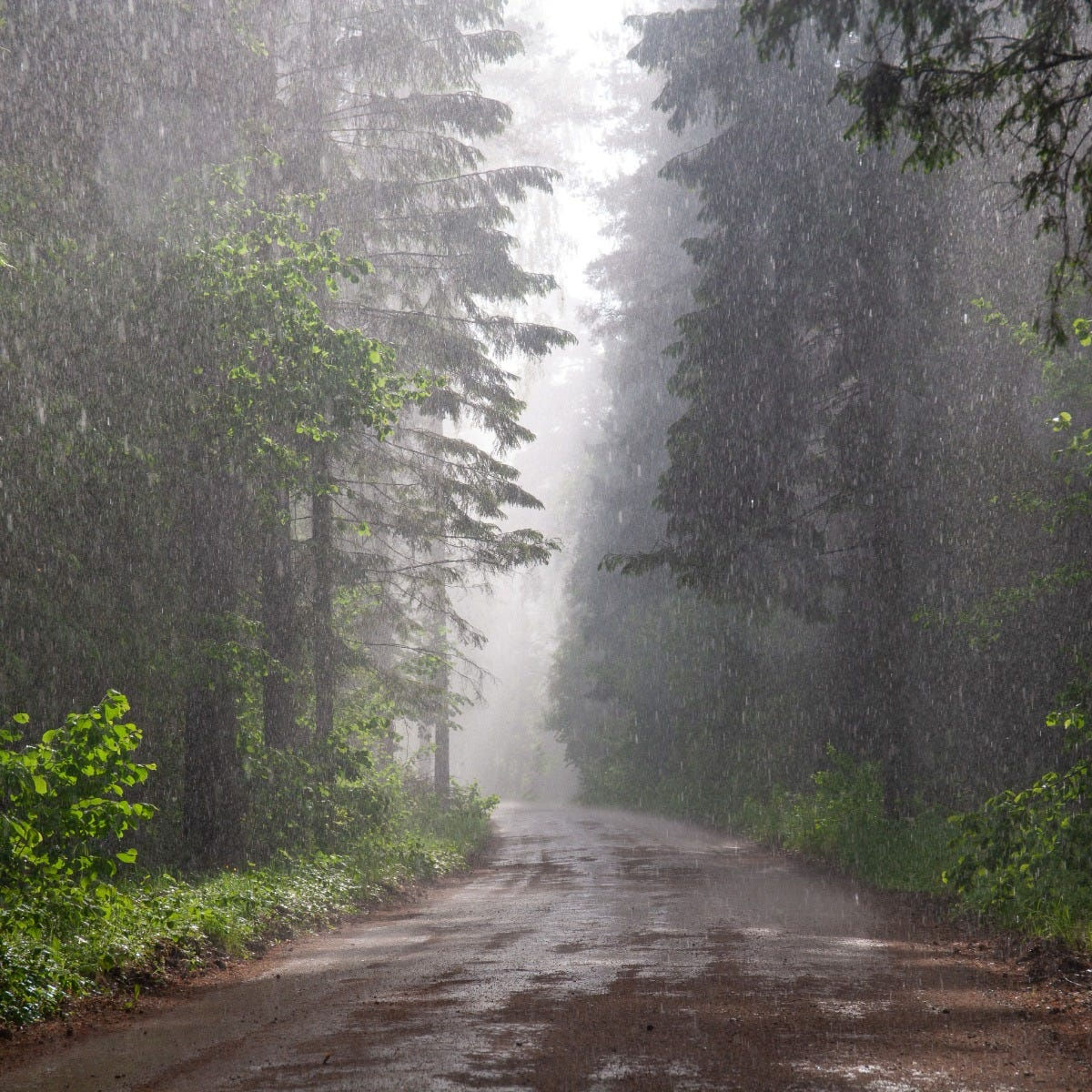 Rainstorm Fragrant Oil