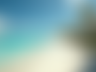 De Beste Tips voor Vastgoedfotografie in Bonaire