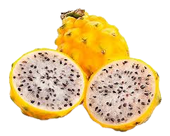 Yellow dragon fruit