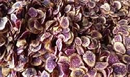 CUADORIAN CHIPS SUPPLIER | CHIPS Y CHIFLES NATURALES
