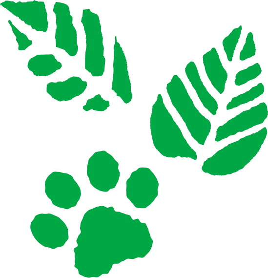 アセット 11_4x.png