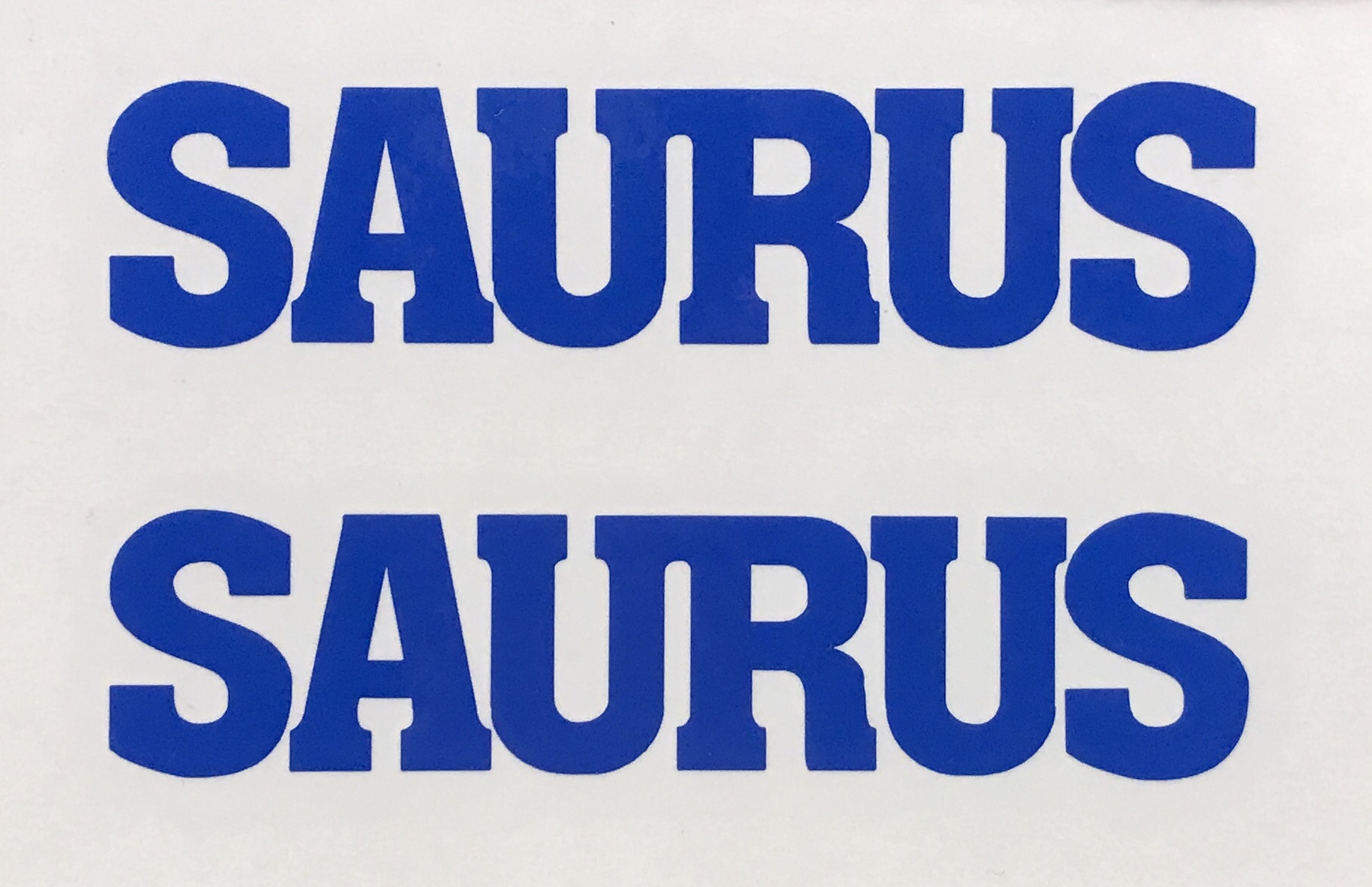 SAURUS|New&News|釣具 ルアー