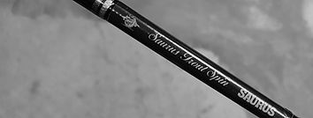 IMG_1964.jpeg