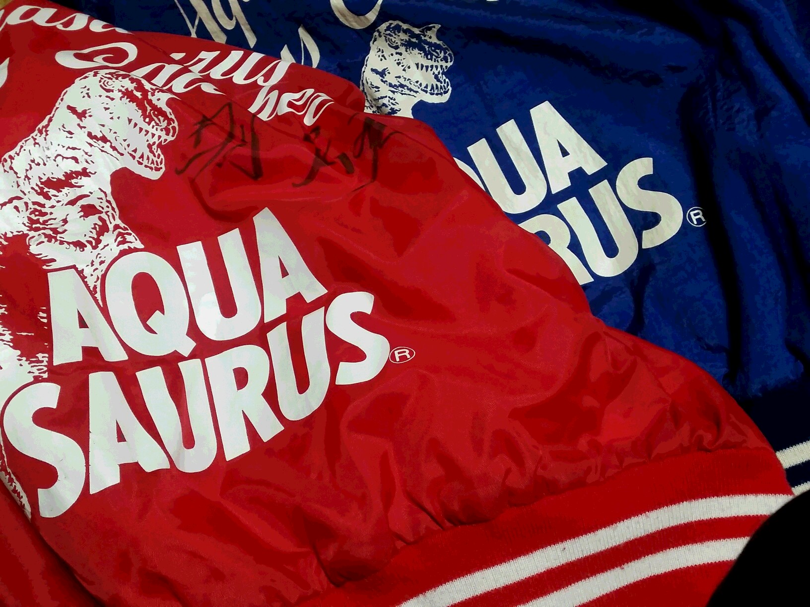 SAURUS ウェア