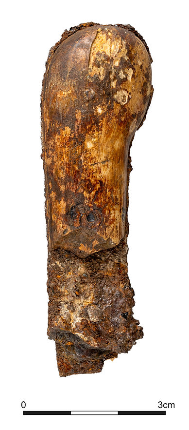 An iron knife with a bone handle showing corrosion of the iron and staining of the bone (Cardiff University)