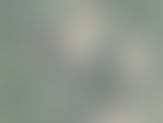 Tewin Notification - Access Pathways for Site Investigations