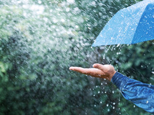 Desperate for Some Rain