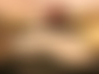 Feeding Our Future ....