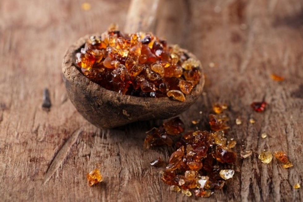 Sudanese farmer harvesting gum acacia sap from an Acacia tree using a traditional sunki tool — the natural source of Gum Arabic
