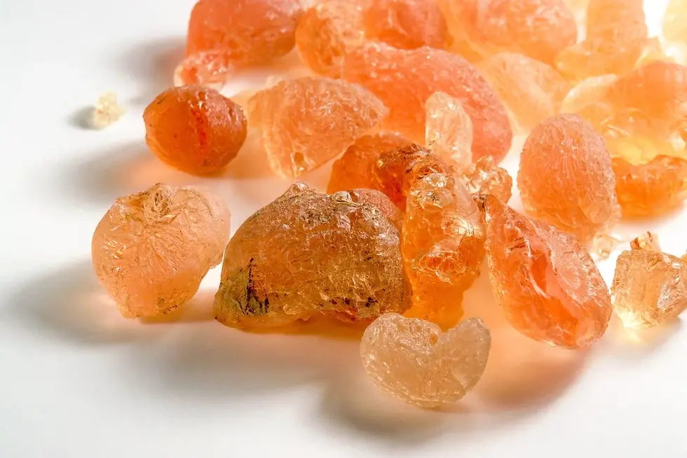 Gum Acacia Updates: Latest News on Gum Acacia Innovation
