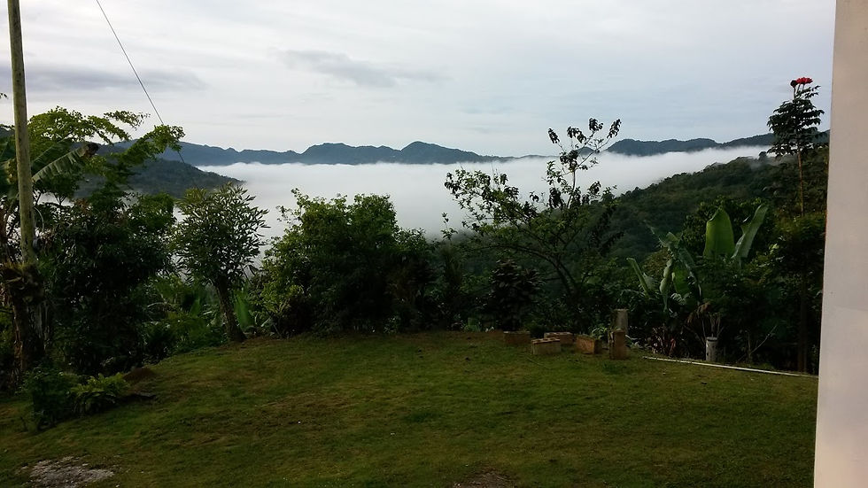 Créditos: Gloria Lamberty