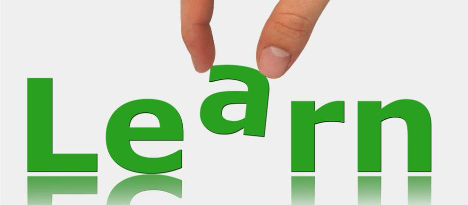 How to Motivate Employees to Learn?