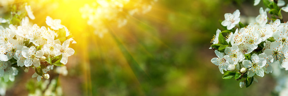 AdobeStock_315964713.jpeg