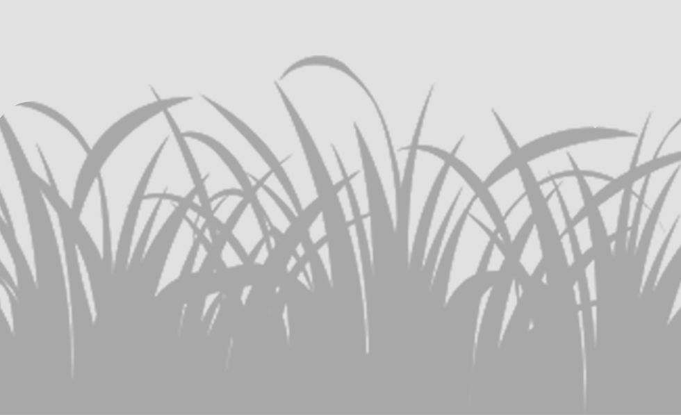 Capstone Update and Videos