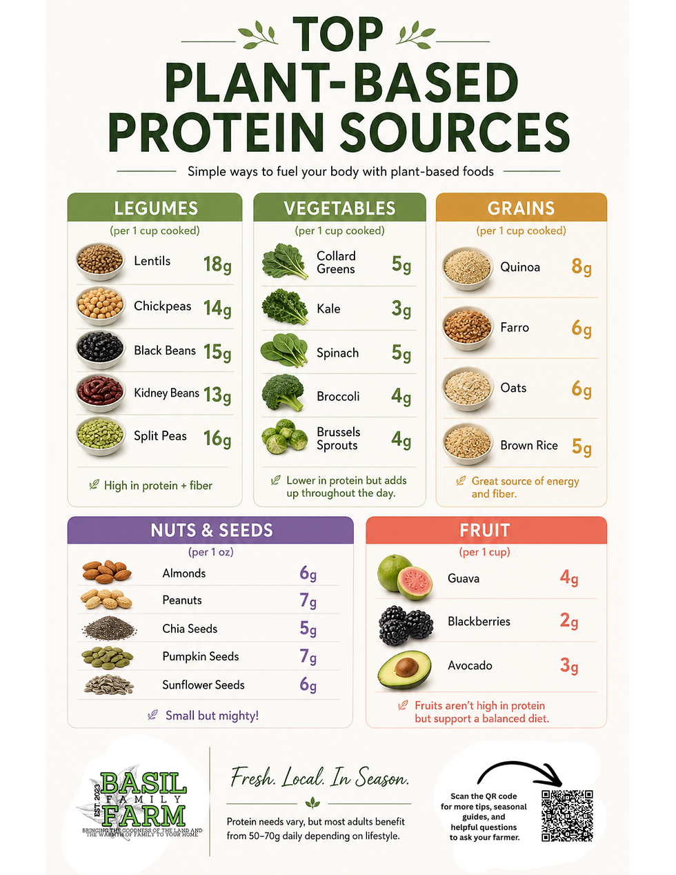 Plant-Based Protein: Simple, Affordable Options You Can Find at the Market
