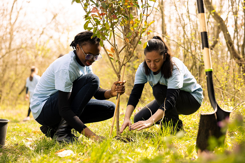 Orchard in a Day: Build, Plant & Learn