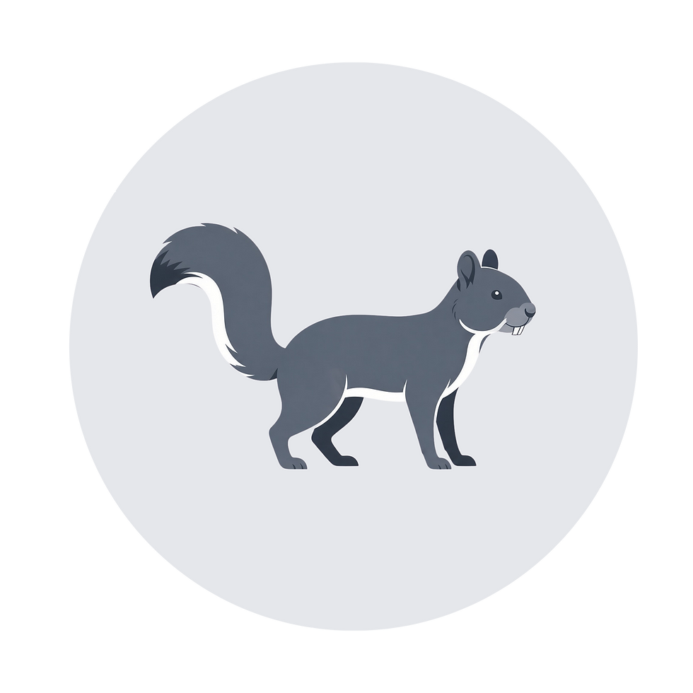Untitled design (41).png