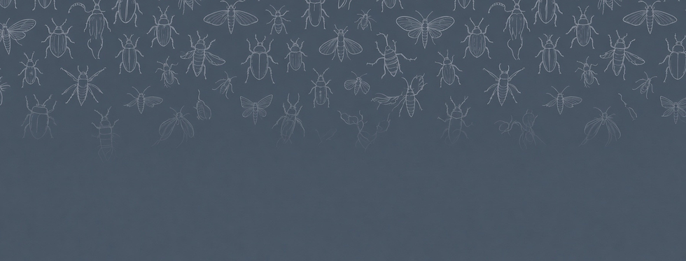 Untitled design (53).png