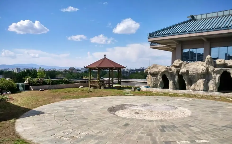 Regeneration Programs at the Kundawell Institute with Professor Xu Mingtang