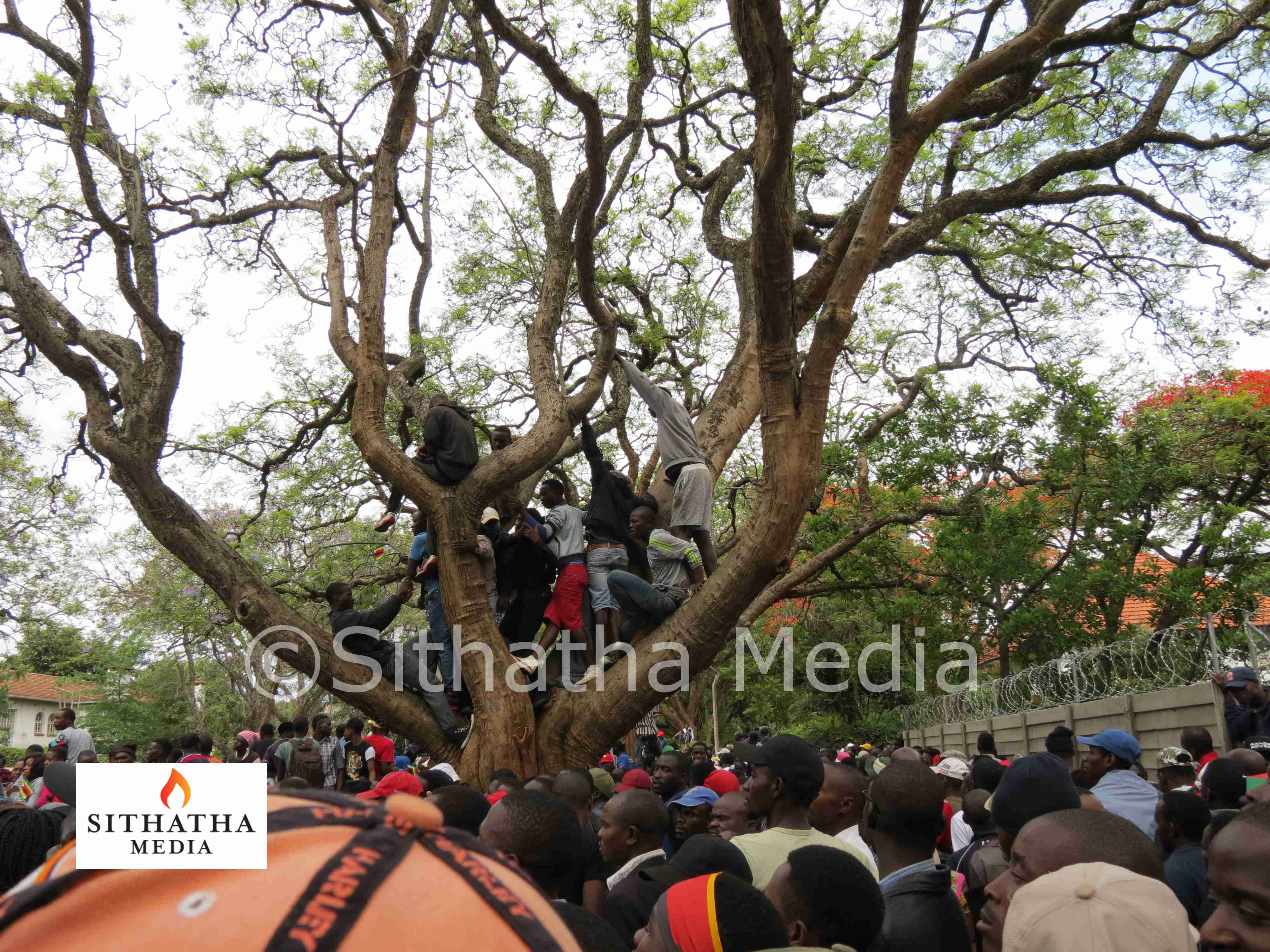 Anti-Mugabe rally, Zimbabwe