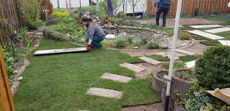 IMG-20260519-WA0072.jpg