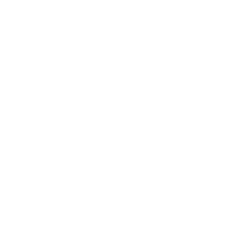 linkedin icon white 2.png