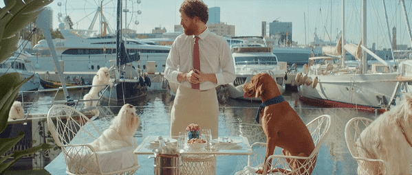 E_TRADE---Bow-Wow-Wow-high