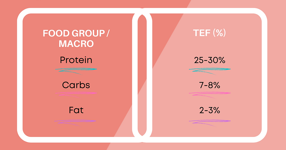 Flow Fysique Factory 3f.energy Thermic Effect of Food (TEF)