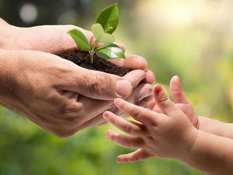 World Nature Protection Day