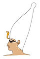corona blanca.jpg