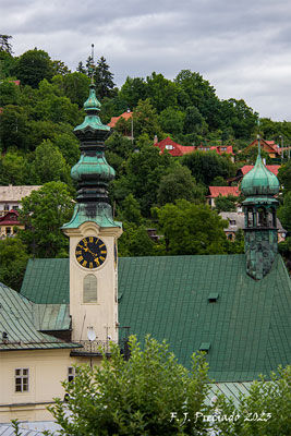 ESL-610_1907-web-2.jpg
