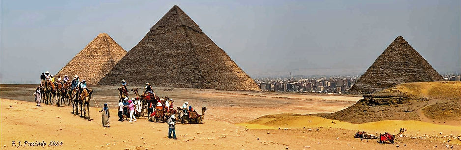 750_9675_edited_edited_edited.jpg