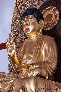 JP-20241122_104257.jpg