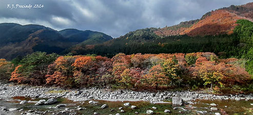 JP-20241123_125035.jpg