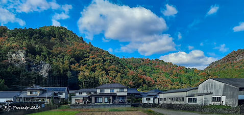 JP-20241123_113639.jpg