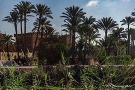 750_0071.jpg
