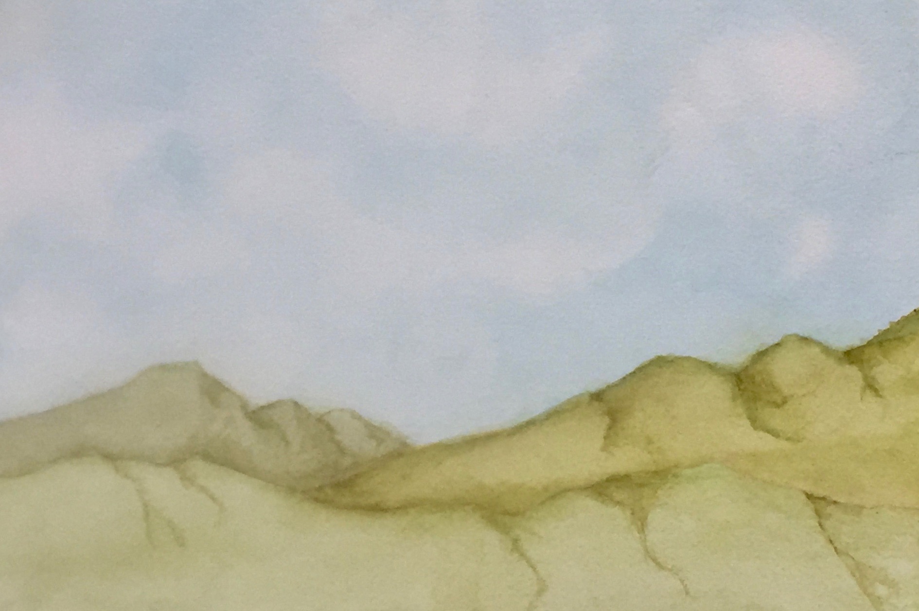 Rachel Geise