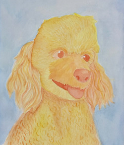 Amy Arnes