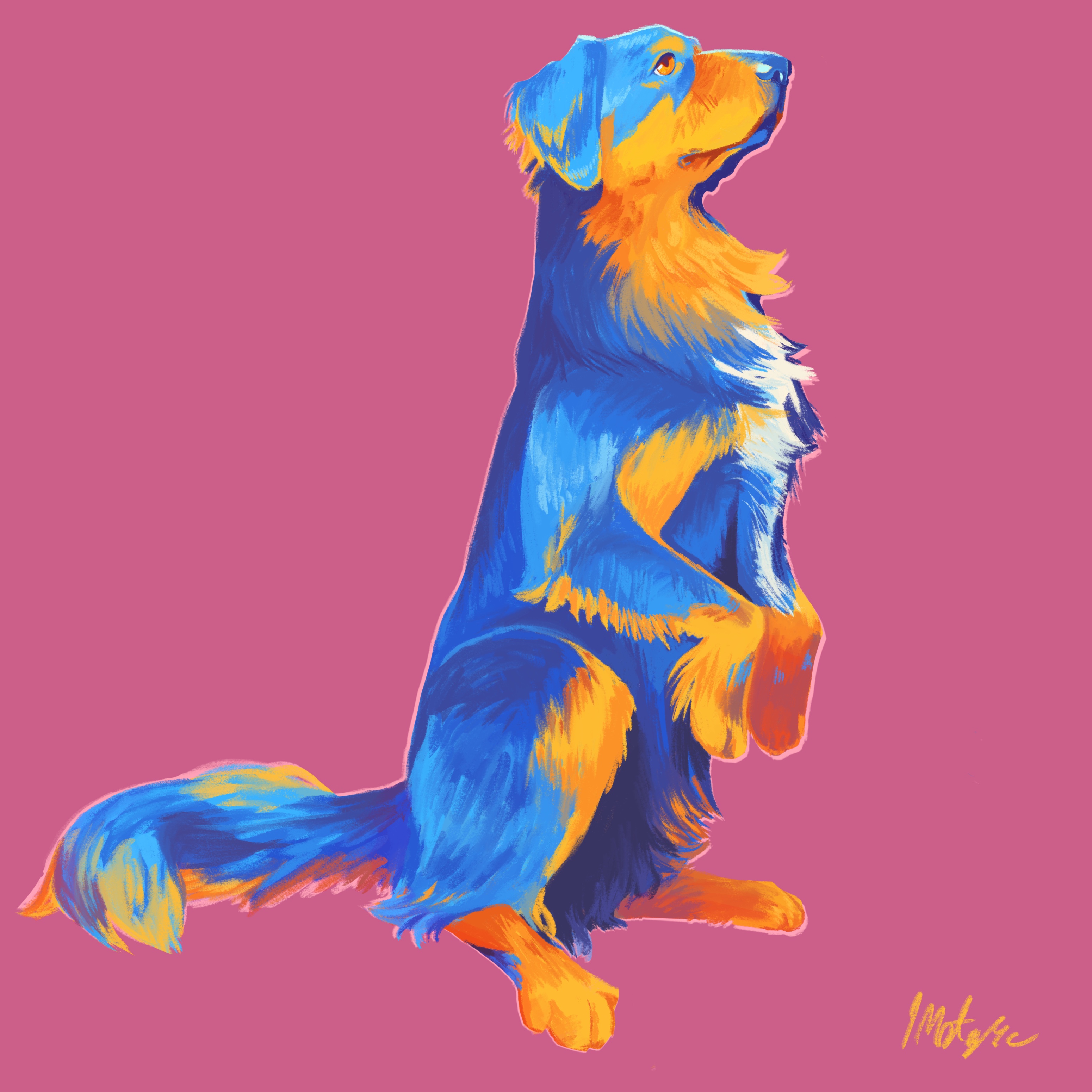 Digital Drawing