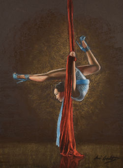 Silks