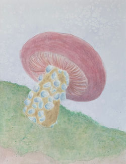 Erin Larmore