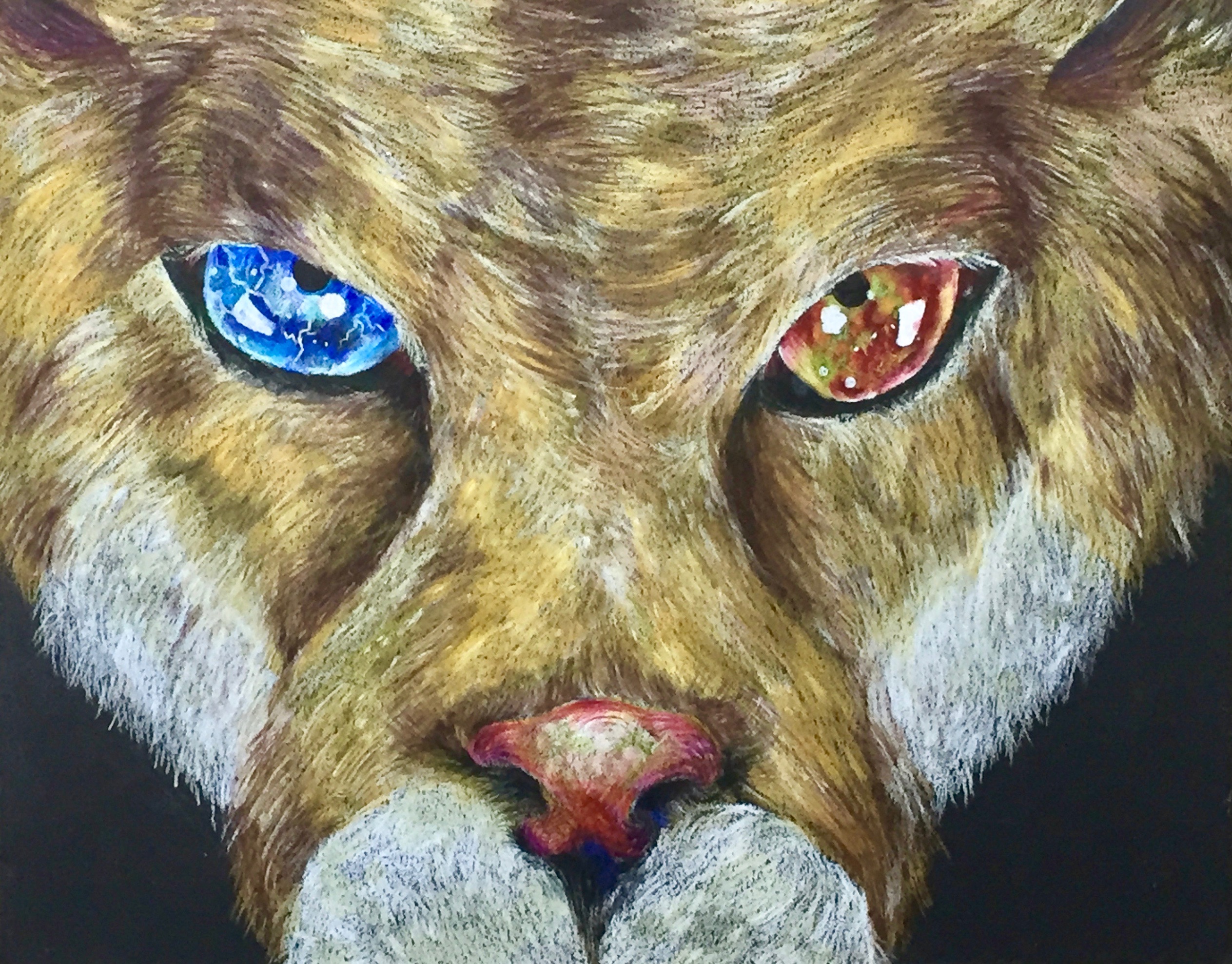 Colored Pencil