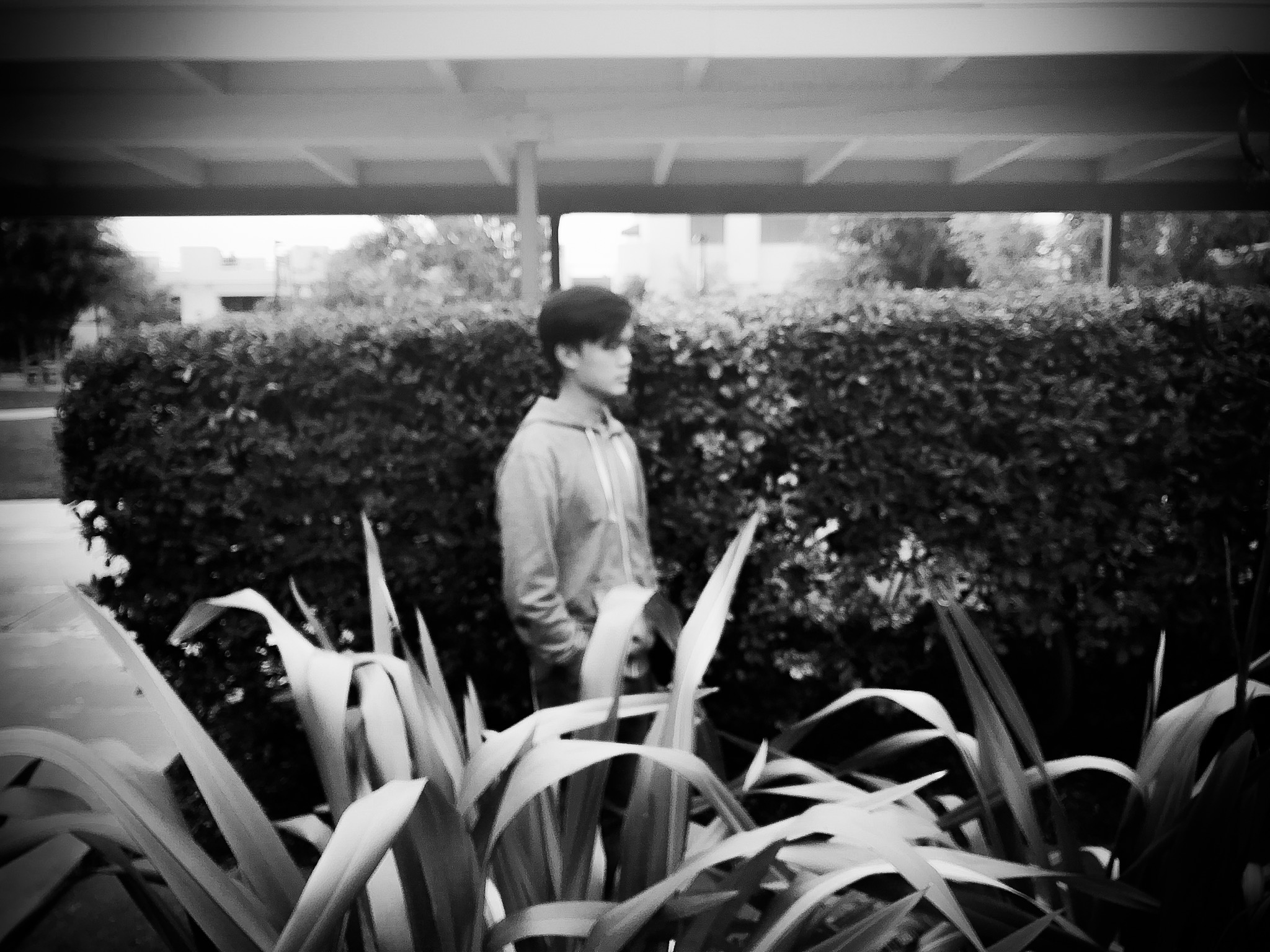 Brian Ma